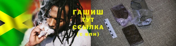 стафф Арсеньев