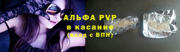 стафф Арсеньев