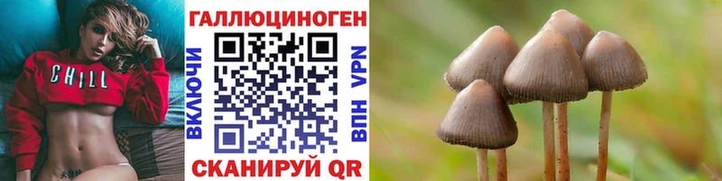 где купить Рузаевка Галлюциногенные грибы MAGIC MUSHROOMS